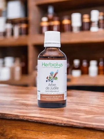 Macérat de bourgeons bio d'Arbre de Judée  Gemmothérapie pour la circulation sanguine