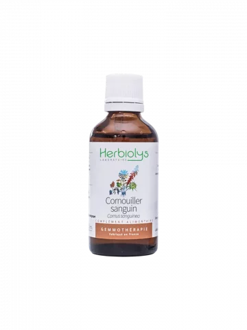 Macérat de bourgeons bio de Cornouiller sanguin (Cornus sanguinea)  Soutien circulatoire et nerveux
