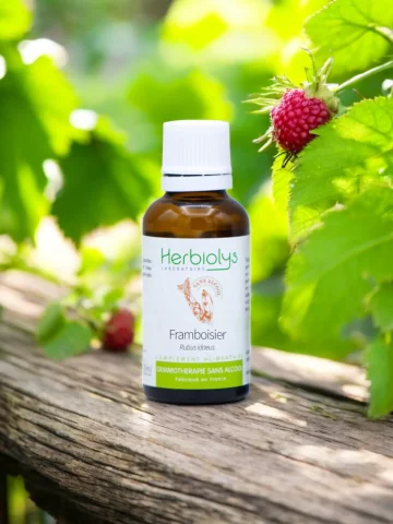 Macérat de bourgeons bio de Framboisier (Rubus idaeus) sans alcool  Équilibre féminin et confort menstruel