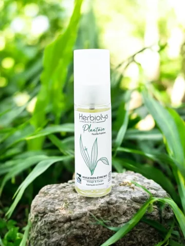 Huile bien-être au Plantain bio  Soin apaisant et réparateur pour la peau