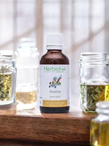 Avoine Bio  Extrait de Plante Fraîche  Soutien Nerveux et Équilibre Émotionnel