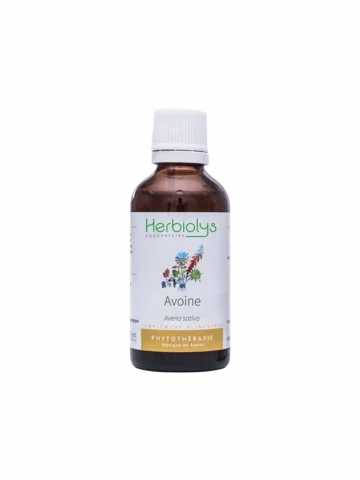 Avoine Bio  Extrait de Plante Fraîche  Soutien Nerveux et Équilibre Émotionnel
