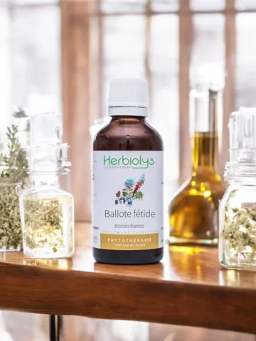Ballote Fétide Bio  Extrait de Plante Fraîche  Apaisement et Confort Digestif