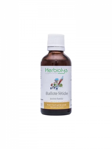 Ballote Fétide Bio  Extrait de Plante Fraîche  Apaisement et Confort Digestif