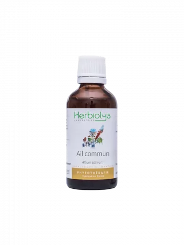 Ail Commun Bio  Extrait de Plante Fraîche  Soutien Cardiovasculaire et Circulatoire