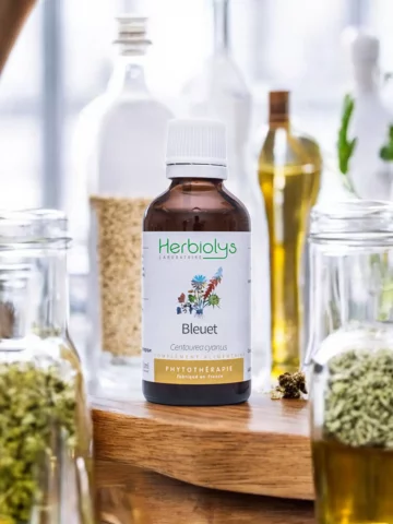 Bleuet Bio  Extrait de Plante Fraîche  Confort Digestif et Drainage Doux
