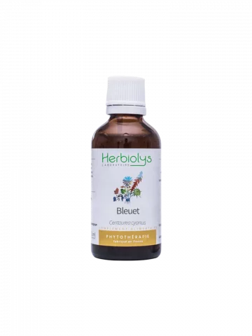 Bleuet Bio  Extrait de Plante Fraîche  Confort Digestif et Drainage Doux