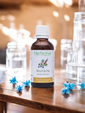 Bourrache Bio  Extrait de Plante Fraîche  Soutien Respiratoire et Dépuratif