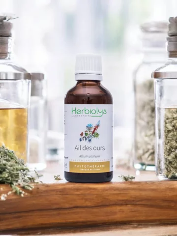 Ail des Ours Bio  Extrait de Plante Fraîche  Soutien Cardiovasculaire et Détoxifiant