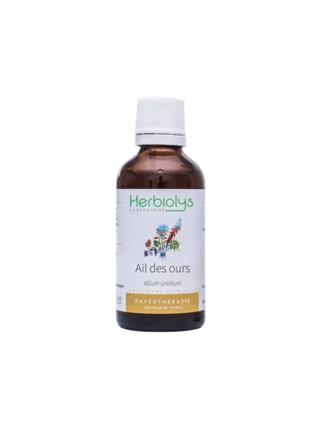 Ail des Ours Bio  Extrait de Plante Fraîche  Soutien Cardiovasculaire et Détoxifiant