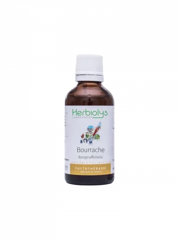 Bourrache Bio  Extrait de Plante Fraîche  Soutien Respiratoire et Dépuratif