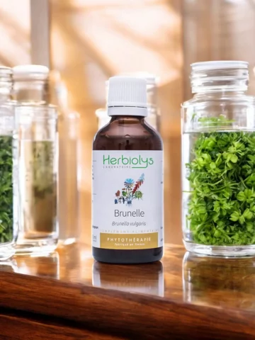 Brunelle Bio  Extrait de Plante Fraîche  Soutien Immunitaire et Buccal