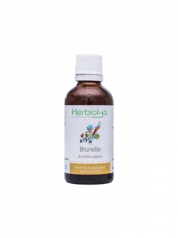 Brunelle Bio  Extrait de Plante Fraîche  Soutien Immunitaire et Buccal