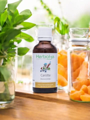 Carotte Bio  Extrait de Plante Fraîche  Éclat du Teint et Détoxification