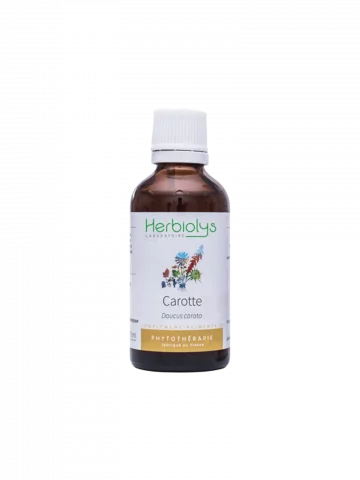 Carotte Bio  Extrait de Plante Fraîche  Éclat du Teint et Détoxification