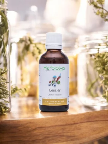 Cerisier Bio  Extrait de Plante Fraîche  Drainage et Confort Urinaire