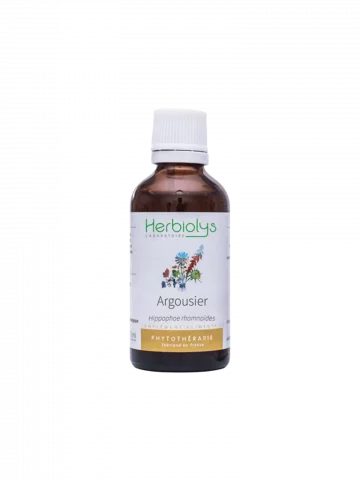 Argousier Bio  Extrait de Plante Fraîche  Tonifiant et Renforcement Immunitaire