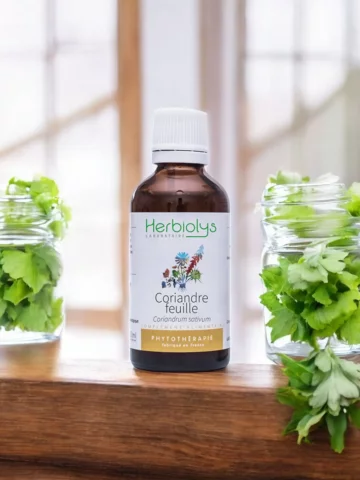 Coriandre Bio  Extrait de Feuilles Fraîches  Détoxification et Digestion