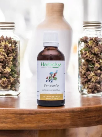 Échinacée Bio  Extrait de Plante Fraîche  Stimulation des Défenses Immunitaires