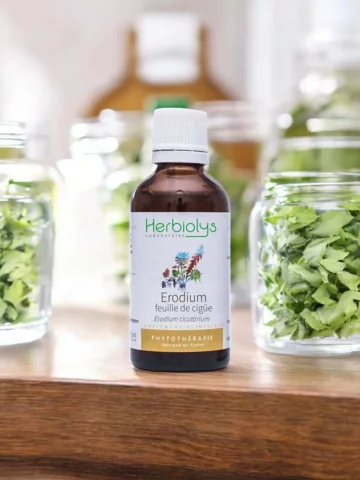 Érodium à Feuilles de Ciguë Bio  Extrait de Plante Fraîche  Soutien Circulatoire et Cutané