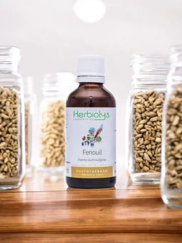 Fenouil Bio  Extrait de Plante Fraîche  Digestion et Allaitement