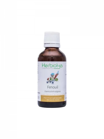 Fenouil Bio  Extrait de Plante Fraîche  Digestion et Allaitement