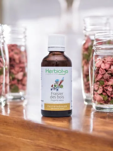 Fraisier des Bois Bio  Extrait de Plante Fraîche  Drainage et Détox Douce