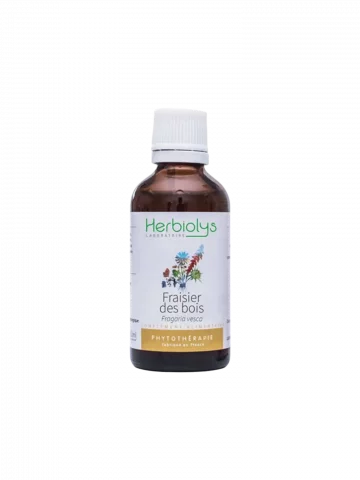 Fraisier des Bois Bio  Extrait de Plante Fraîche  Drainage et Détox Douce