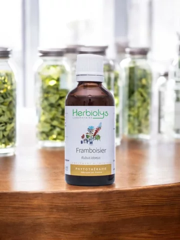 Framboisier Bio  Extrait de Plante Fraîche  Équilibre Féminin et Cycle Menstruel