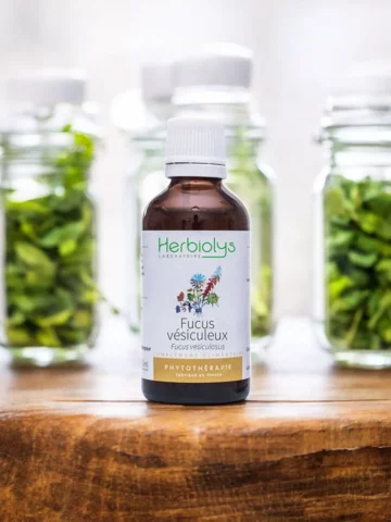 Fucus Vésiculeux Bio  Extrait de Plante Fraîche  Métabolisme et Minceur