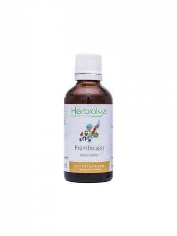 Framboisier Bio  Extrait de Plante Fraîche  Équilibre Féminin et Cycle Menstruel