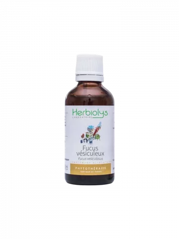 Fucus Vésiculeux Bio  Extrait de Plante Fraîche  Métabolisme et Minceur