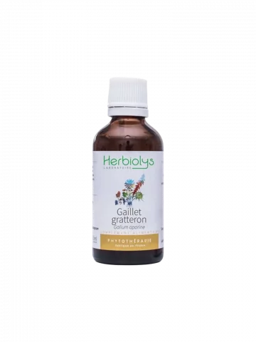 Gaillet-Gratteron Bio  Extrait de Plante Fraîche  Drainage Lymphatique et Détox