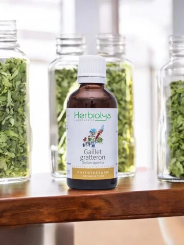 Gaillet-Gratteron Bio  Extrait de Plante Fraîche  Drainage Lymphatique et Détox