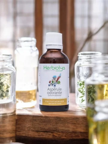 Aspérule Odorante Bio  Extrait de Plante Fraîche  Apaisement et Digestion