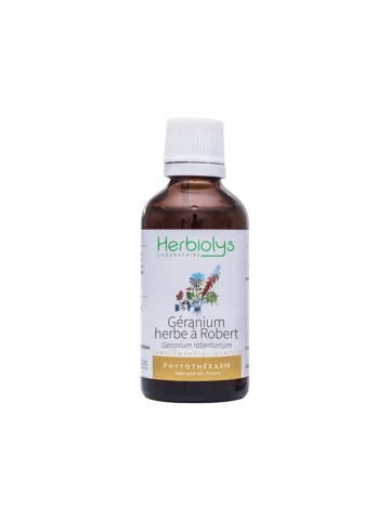 Géranium Bio  Herbe à Robert  Extrait de Plante Fraîche  Digestion et Équilibre Glycémique