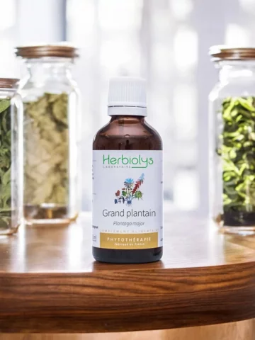 antain Bio  Extrait de Plante Fraîche  Muqueuses et Voies Respiratoires