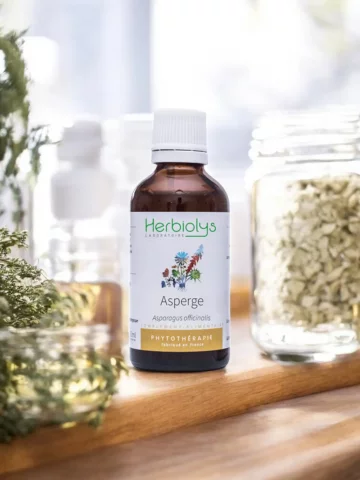 Asperge Bio  Extrait de Plante Fraîche  Drainage Rénal et Confort Urinaire