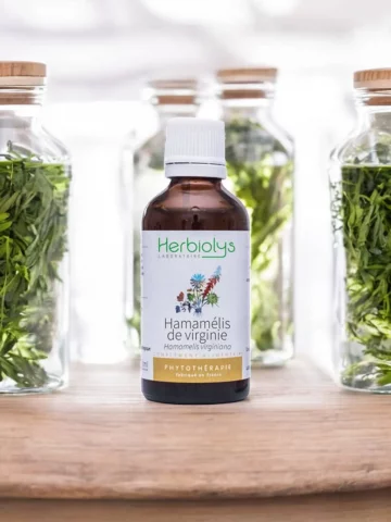 Hamamélis Bio  Extrait de Plante Fraîche  Circulation et Confort Veineux