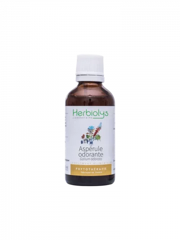 Aspérule Odorante Bio  Extrait de Plante Fraîche  Apaisement et Digestion