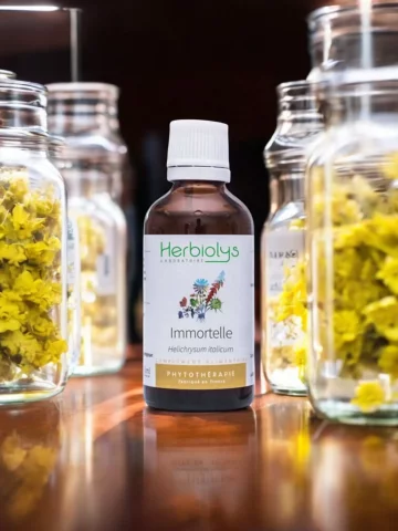 Immortelle Bio  Extrait de Plante Fraîche  Circulation et Détox Hépatique