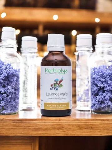Lavande Vraie Bio  Extrait de Plante Fraîche  Détente, Digestion et Sommeil