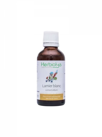 Lamier Blanc Bio  Extrait de Plante Fraîche  Confort Féminin et Drainage