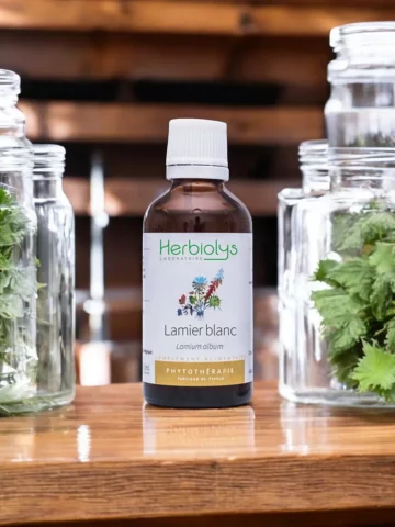 Lamier Blanc Bio  Extrait de Plante Fraîche  Confort Féminin et Drainage