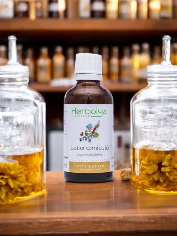 Lotier Corniculé Bio  Extrait de Plante Fraîche  Sommeil et Système Nerveux