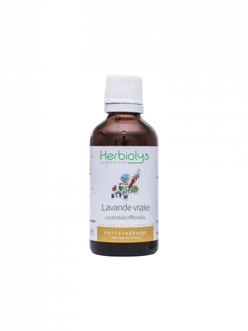 Lavande Vraie Bio  Extrait de Plante Fraîche  Détente, Digestion et Sommeil
