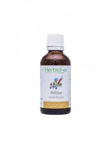Mélisse Bio  Extrait de Plante Fraîche  Stress, Digestion et Sommeil