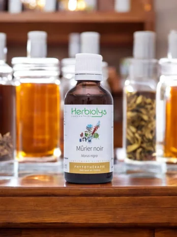 Mûrier Noir Bio  Extrait de Plante Fraîche  Glycémie et Confort Digestif