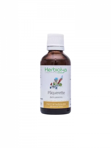 Pâquerette Bio  Extrait de Plante Fraîche  Circulation et Confort Féminin