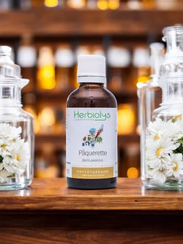 Pâquerette Bio  Extrait de Plante Fraîche  Circulation et Confort Féminin